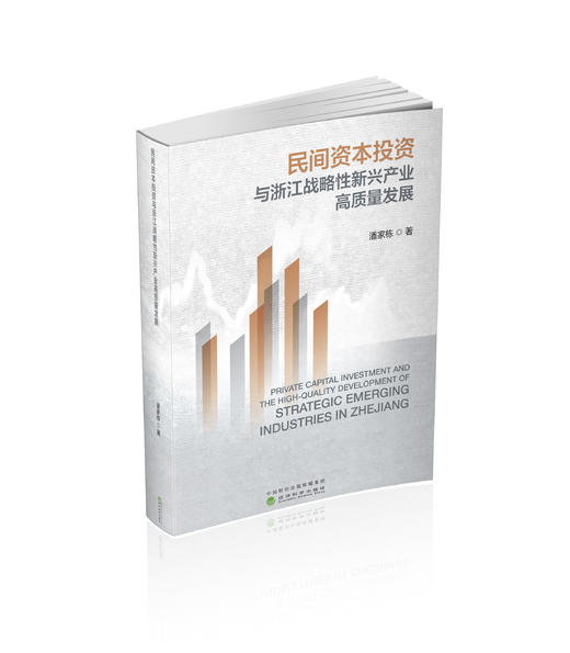 民间资本投资与浙江战略性新兴产业高质量发展 商品图0