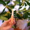 预售3-5天！【芳疗产品-秋天的味道桂花香】萧何芳疗师联名・秋日暖愈桂花芳疗礼盒・桂花植萃芳疗生活美学套装 商品缩略图14
