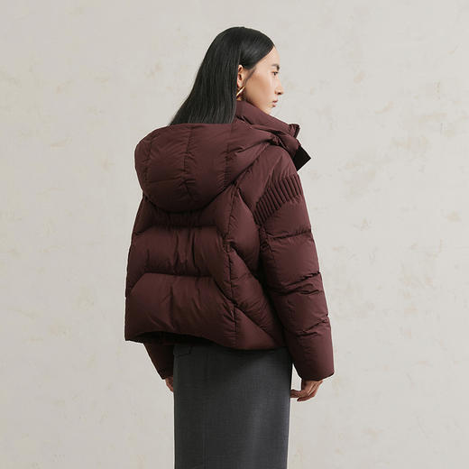 NEELLY纳俪商场同款冬季新款日常通勤白鸭绒保暖连帽羽绒服外套女N25104L04411 商品图1