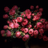 多头玫瑰.绝色果汁 商品缩略图2