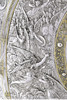 独角鹿西洋古董 1860-1870年代法国工匠Léonard Morel-Ladeuil设计英国名坊Elkington出品《失乐园》主题米尔顿之盾 商品缩略图5