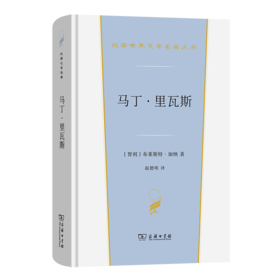 马丁·里瓦斯(汉译世界文学6)