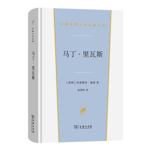 马丁·里瓦斯(汉译世界文学6) 商品图0