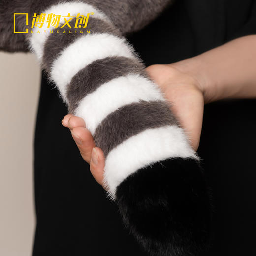 博物文创 大圆宝浣熊 新年元旦生日礼物 商品图4