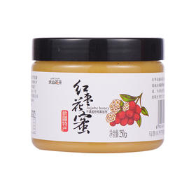 天山花开·新疆红枣蜂蜜250g*2 挂勺成丝 补脾润肠