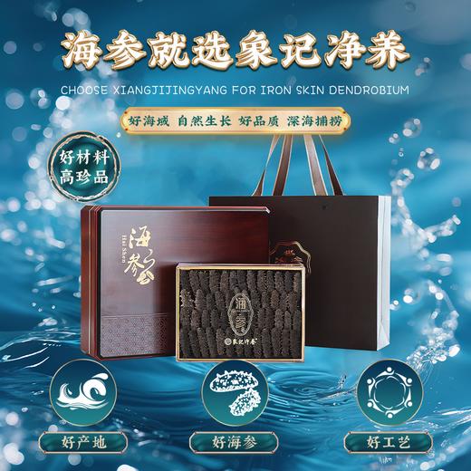 【象记养生】淡干海参500克-礼盒装60头500克（30只左右大海参） 商品图0