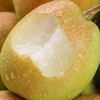 精选库尔勒香梨 商品缩略图0