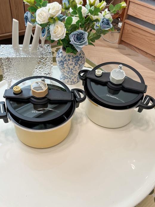德国DESLON德世朗珐琅微压营养锅升级款  6L 精铁钛优质珐琅釉安全抗造 商品图5