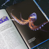 《章鱼：认识海洋中的高智商生命》普林斯顿大学生物图鉴系列 鱿鱼 乌贼自然科普图书图鉴-分销 商品缩略图3