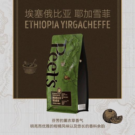 皮爷咖啡耶加雪菲咖啡豆500g 商品图0