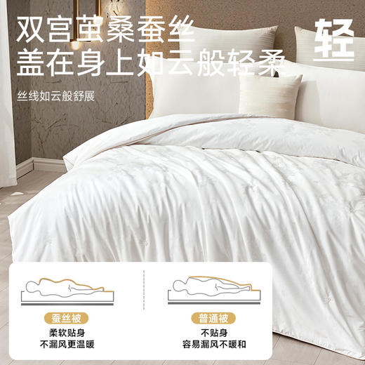 巴马A级双宫茧桑蚕丝被 商品图3