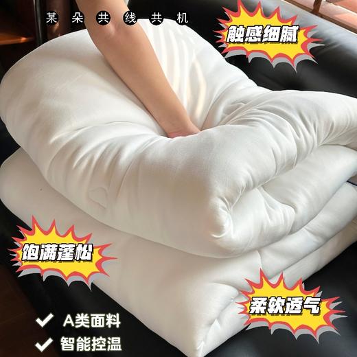 【饱满蓬松 深睡秘诀 平衡控温】京帝 星球深睡控温被 商品图3