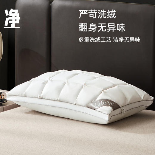 臻品复合鹅绒枕 商品图4