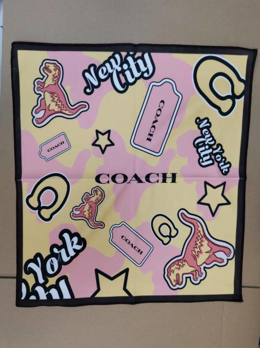 COACH-HZB COACH 蔻驰日常化妆布【两种颜色随机发】约42*45CM 商品图3