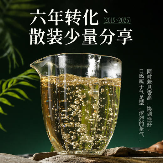 陈升号 2019年陈升一号50g罐装品鉴（生茶） 商品图4