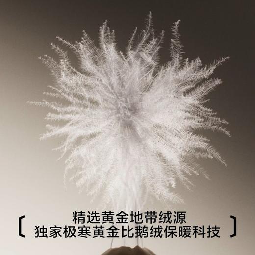 【极地冠军系列】都市丽人男士保暖衣套装加拿大鹅绒保暖FWH1F4 商品图4