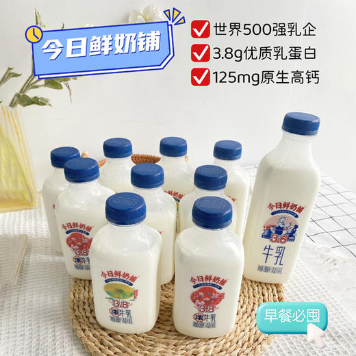 【新希望】今日鲜奶铺牛乳超值搭赠装多规格 商品图1