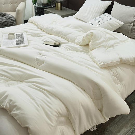 【A类牛奶冬被】牛奶冬被A类被芯民宿双人秋冬被保暖被子加厚款 商品图5