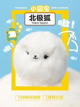 萨摩？羊驼？其实我是……