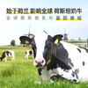 荷高（Globemilk）荷兰原装进口3.8优蛋白脱脂纯牛奶200ml*24高钙0脂肪早餐整箱送礼 /水饮冲调 /常温奶 /基础牛奶 商品缩略图5