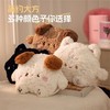秋冬【国标电热水袋】充电双插手暖手宝 卡通毛绒可拆暖肚子可爱暖手袋  商品缩略图3