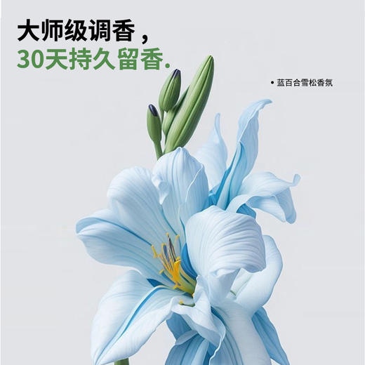 卓理5D洗衣凝珠留香珠五合一持久留香味除菌除螨强力去污洗衣液球 商品图5