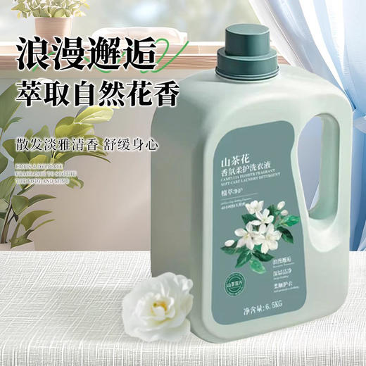 「一桶13斤！山茶花香氛」留香味洗衣液居家日用实惠装量去污能力清洁工具 商品图3