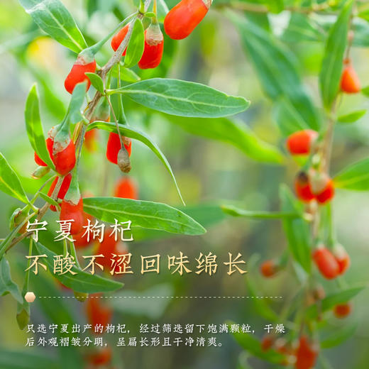 胡庆余堂红黑枸杞礼盒装260g 商品图2