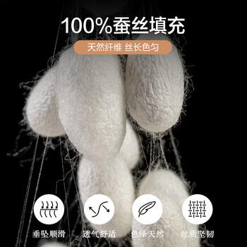 博洋家纺100%蚕丝被子 空调被抑菌夏凉被夏被 约2.9斤200*230cm 商品图1