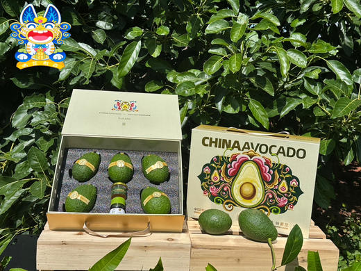 Mg基地📦【民族文创】中国牛油果×彝族服饰礼盒装（含果园牛油果花蜜35g+有机酱油40ML） 商品图0