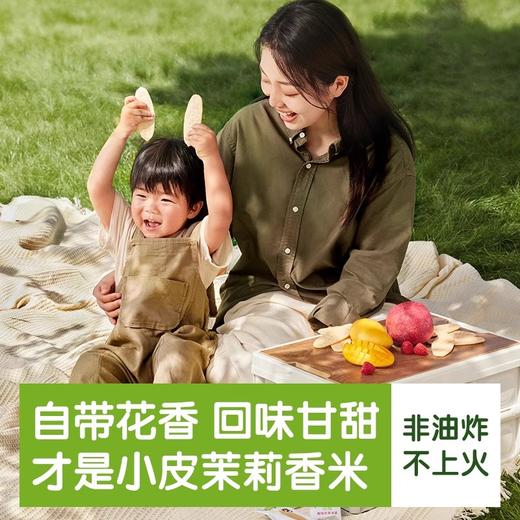 小皮米饼类合集 商品图4