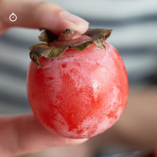 企鹅市集|河南荥阳玫瑰蜜柿 20枚/42枚装 浓稠似蜜 软甜溏心玫瑰香 商品图4