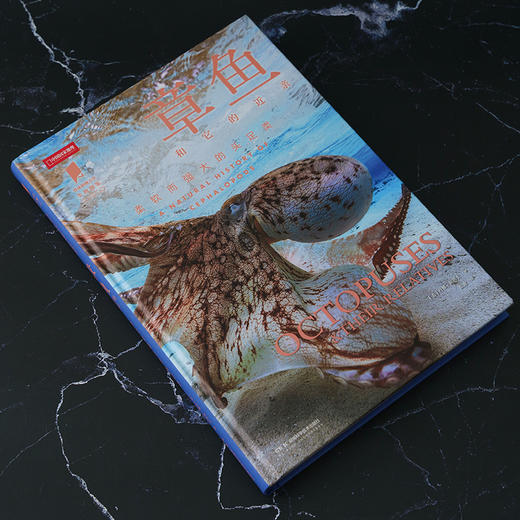 《章鱼：认识海洋中的高智商生命》普林斯顿大学生物图鉴系列 鱿鱼 乌贼自然科普图书图鉴-分销 商品图1