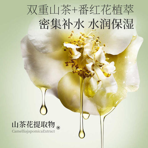 [山茶花面膜]【49.9任选3件 | 79.9任选5件 | 专区满3件送唇釉】透蜜山茶精华保湿面膜25g*10片 商品图1