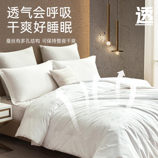 巴马A级双宫茧桑蚕丝被 商品图4