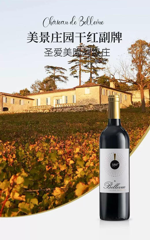 法国-波尔多-圣埃美隆美景酒庄副牌 2020年 圣埃美隆列级庄单支装750ml*1支 商品图1