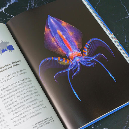 《章鱼：认识海洋中的高智商生命》普林斯顿大学生物图鉴系列 鱿鱼 乌贼自然科普图书图鉴-分销 商品图4