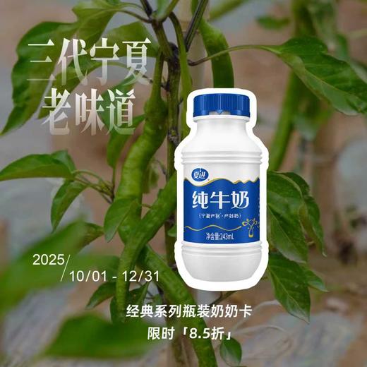 夏进纯牛奶243ml×15瓶 商品图0