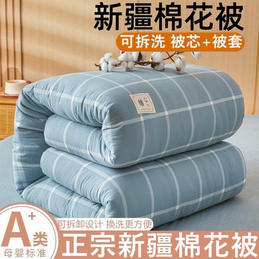 【可拆卸新疆全棉花被子】冬被厚春秋被单双人垫被褥子学生宿舍可机洗 商品图1