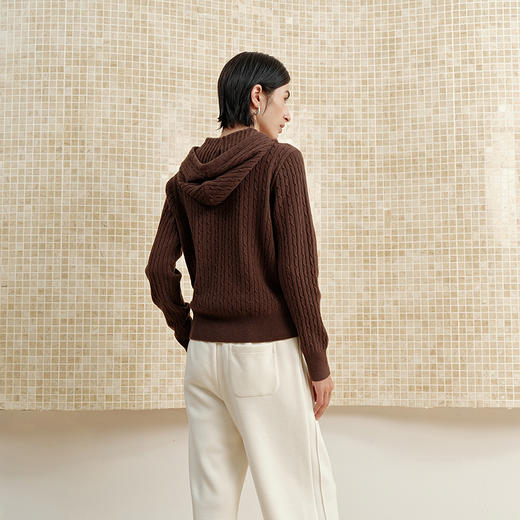 NEELLY纳俪商场同款冬新款宽松连帽绞花套头针织衫女舒适休闲上衣N25102A01030 商品图1