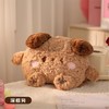秋冬【国标电热水袋】充电双插手暖手宝 卡通毛绒可拆暖肚子可爱暖手袋  商品缩略图6