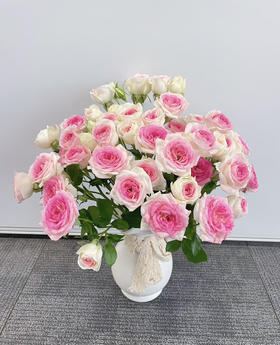 【娇柔妩媚】午夜魔法 多头 约10枝/扎