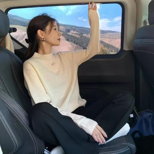 衣本素 半高领纯色百搭一线成衣100%羊毛衫【3-5天发货】 商品图0