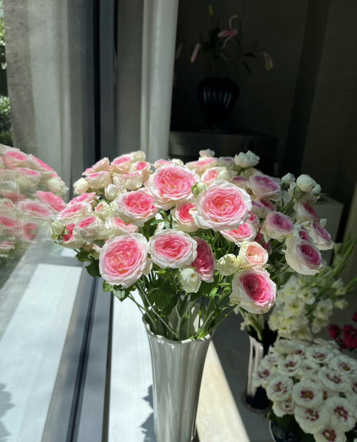 【娇柔妩媚】午夜魔法 多头 约10枝/扎 商品图1