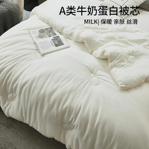 【A类牛奶冬被】牛奶冬被A类被芯民宿双人秋冬被保暖被子加厚款 商品图2