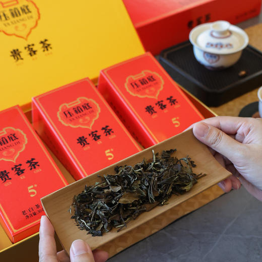 压箱底贵客茶 老白茶 5年陈寿眉 福鼎白茶 礼盒装90克/18泡 商品图4