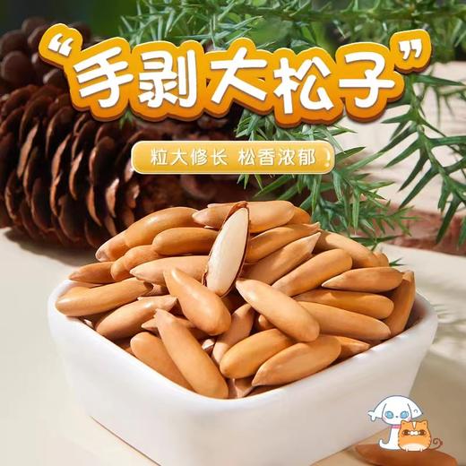 硕果田间·巴西头茬松子，配料只有松子和盐，完全0添加，淡盐简单烘焙，入口细腻醇香 商品图1