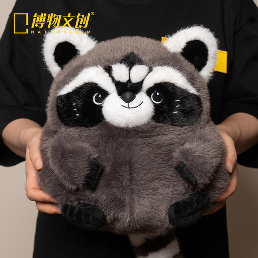 博物文创 大圆宝浣熊 新年元旦生日礼物 商品图1