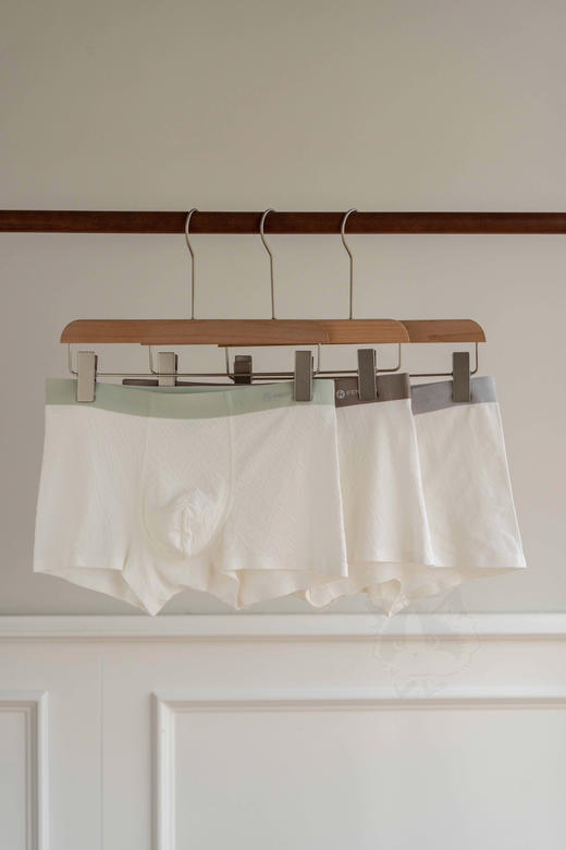 男士真正贵奢的面料❗️💰39.9抢3条装【FENTENG芬腾男士轻奢提花纯棉内裤】95棉+5氨纶，A类无痕提花面料
，10A级抑菌，水洗300次依然抗菌，桑蚕丝底裆，吸湿透气除异味 商品图0