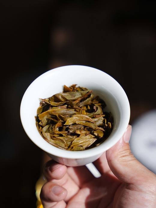 【绿水塘单株】2025年绿水塘单株纯料；家里压箱底好茶；一饮难忘!!!数量十分有限 357g/饼 商品图0